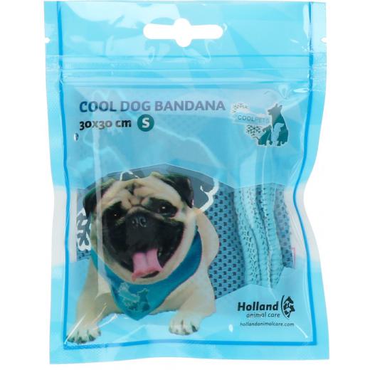 CoolPets Cooling Bandana 60x60cm L