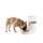 AFP Lifestlye 4 Pets  Gravity Pet Food Feeder