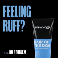 Animology Hair Of The Dog Shampoo