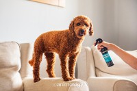 Animology Puppy Fresh Refreshing Spray