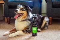 Animology Stink Bomb Refreshing Spray