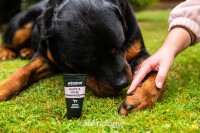 Animology Paws amp Nose Balm 50ml