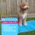 Coolpets Premium Solid Gel Coolmat XS 40x30cm