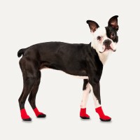 Gooeez Lites Dog Booties 4pack 2XS RedBlack