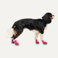 Gooeez Lites Dog Booties 4pack 2XS RedBlack