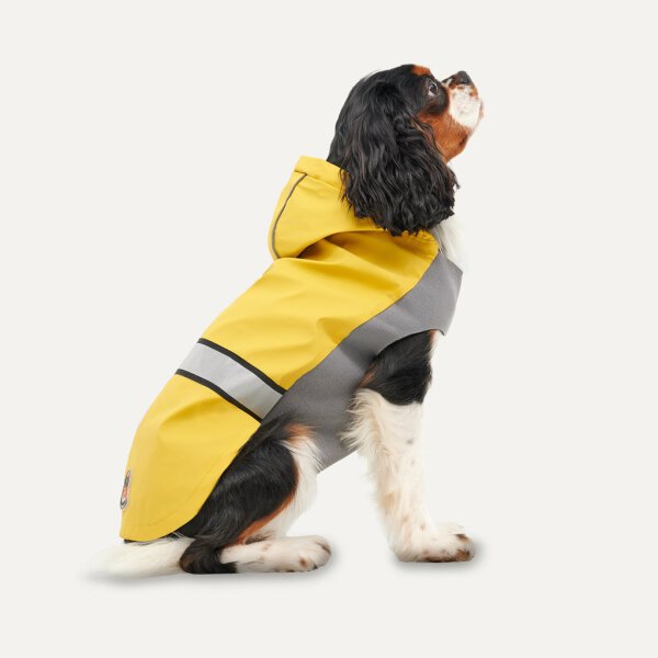 Gooeez Reflective Hooded Raincoat 2XS YellowGrey