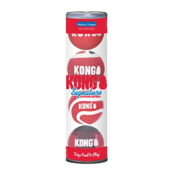 KONG Signature Balls 4pk Assorted Md