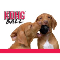 KONG Extreme Ball ML 76 cm