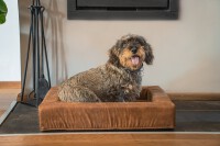 Let039s Sleep Comfy Cushion Hundekorb M Anthrazit