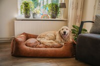 Let039s Sleep Sweet Dreams Hundekorb Mit Kissen L Taupe