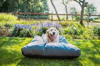 Let039s Sleep Cushy Cloud Outdoor Hundebett M Anthrazit