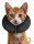 Zenpet ProCollar M