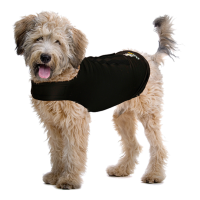 ZenDog Compression Shirt X Small