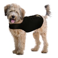 ZenDog Compression Shirt Small