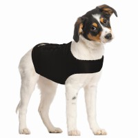 ZenDog Compression Shirt Small