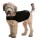 ZenDog Compression Shirt Small