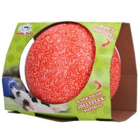 Jolly Soccer Ball 20cm OranjeWit