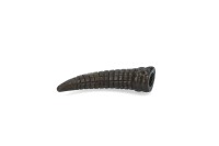 AFP Wild amp Nature Chew Horn L