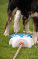 CoolPets Splash Water Fountain