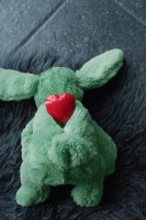 Cozy Dog Bunny Green