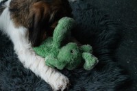 Cozy Dog Bunny Green