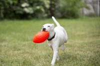 Jolly Football Orange Vanilleduft 20 x 12 cm