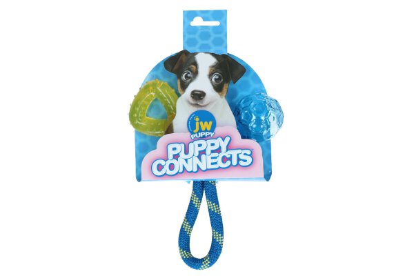 JW Puppy connects