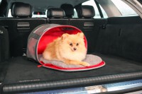 KONG 2In1 Pet Carrier and Travel Mat