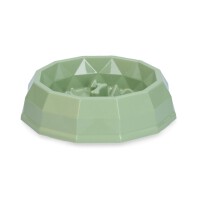 Pawise  My slow feeding bowl S