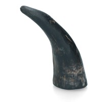 Viking whole Horn S