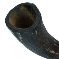 Viking whole Horn S