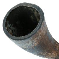 Viking whole Horn S