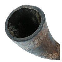 Viking whole Horn M