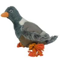 Wild Life Dog Pigeon Taube