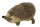 Wild Life Dog Hedgehog Igel