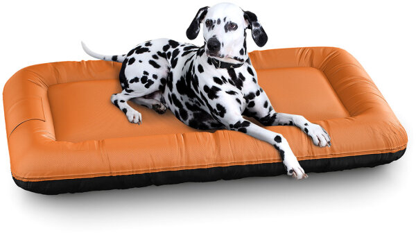 Knuffelwuff Wasserfestes In und Outdoor Hundebett Lucky Color Edition aus Nylongewebe XXL 120 x 85cm Orange