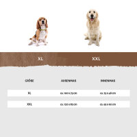 Knuffelwuff Wasserfestes In und Outdoor Hundebett Lucky Color Edition aus Nylongewebe XXL 120 x 85cm Orange