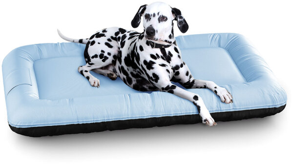 Knuffelwuff Wasserfestes In und Outdoor Hundebett Lucky Color Edition aus Nylongewebe XL 100 x 73cm Blau