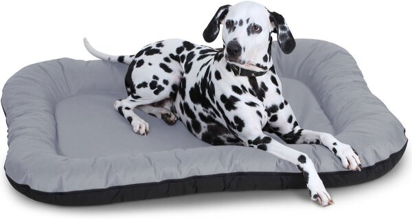 Knuffelwuff Wasserfestes In und Outdoor Hundebett Lucky aus Nylongewebe Übergröße XXXL 140 x 105cm Grau