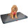 KONG Travel Fold-Up Travel Mat