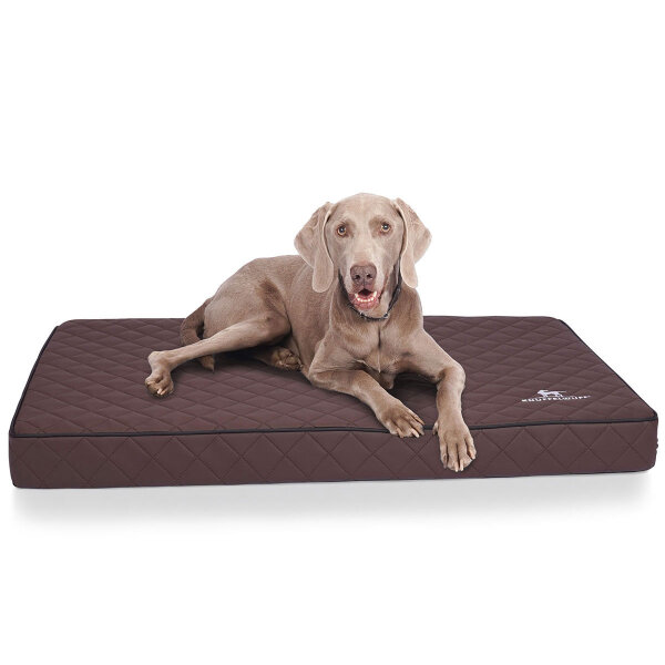Knuffelwuff Orthopädische Hundematte Juna aus laser-gestepptem Kunstleder