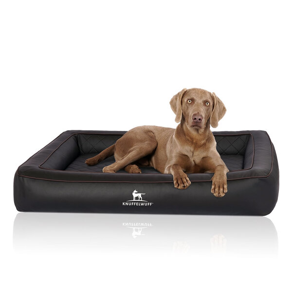 Knuffelwuff Orthopädisches Hundebett aus Laser gestepptem Kunstleder Hampstead