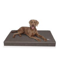 Knuffelwuff orthopädische Hundematte Palomino aus...