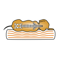 Knuffelwuff Orthopädisches Hundebett Jessy aus Nylongewebe M-L 100 x 65cm Braun