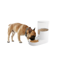 AFP Lifestyle 4 Pets