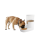 AFP Lifestyle 4 Pets