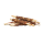 Braaaf Rawhide