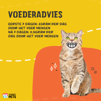 Excellent Pets L-Lysine