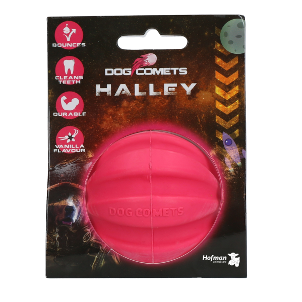 Dog Comets Halley Rosa