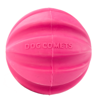 Dog Comets Halley Rosa